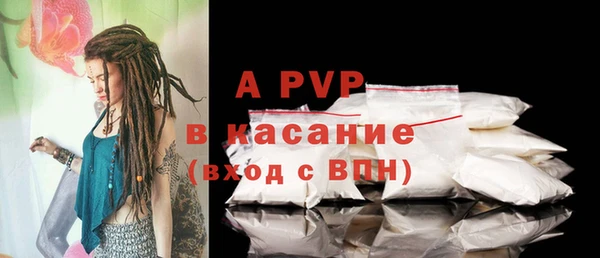 ПСИЛОЦИБИНОВЫЕ ГРИБЫ Иннополис