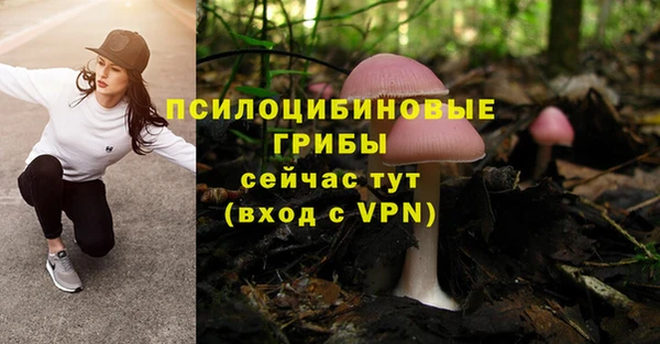 ПСИЛОЦИБИНОВЫЕ ГРИБЫ Иннополис