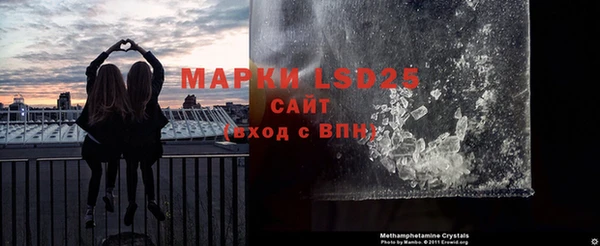 ПСИЛОЦИБИНОВЫЕ ГРИБЫ Иннополис